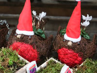 Win a £250 voucher to spend in-store at Squire’s Garden Centres