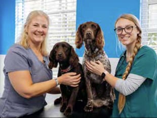 Mushroom poisoning fears of dog walkers in Petersfield