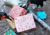 Birdworld launches new festive family celebration for Christmas