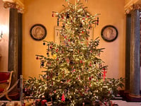 Christmas has begun within National Trust venue Hinton Ampner
