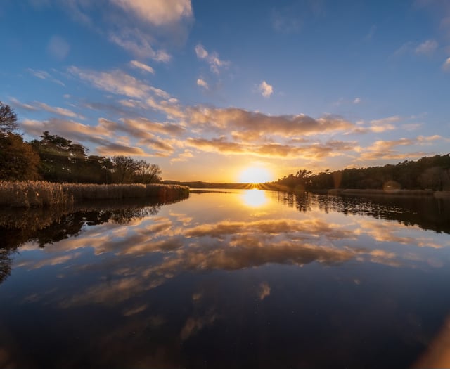 Peeps to the Past: The Nobel laureate with a touch of Robin Hood