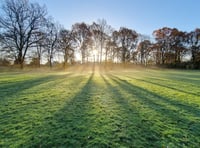 Cricket club gets nod for bollards and barrows work