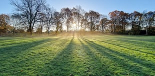 Cricket club gets nod for bollards and barrows work