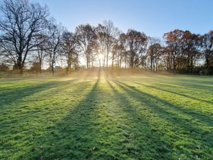 Cricket club gets nod for bollards and barrows work