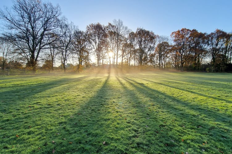 Petersfield cricket pitch,  morning sunrise shadows