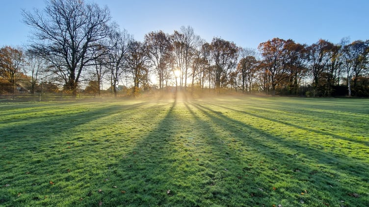 Petersfield cricket pitch,  morning sunrise shadows