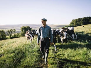 Pair's green vision to make East Meon farm a regenerative UK leader