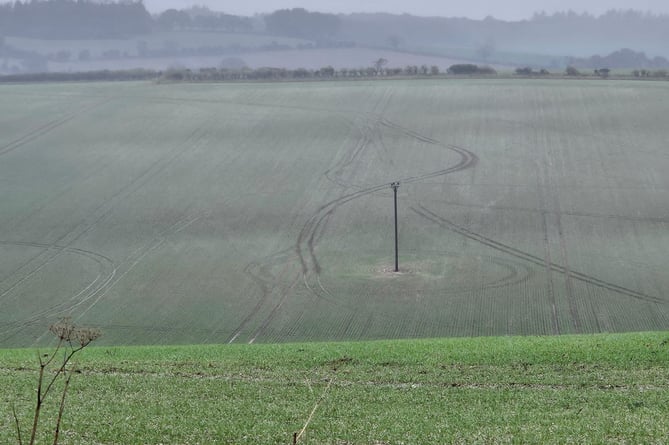 Damage to fields at the Moundsmere Estate near Lasham caused by vandals hare coursing