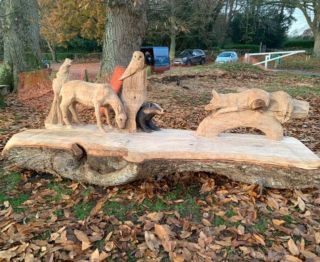 VIDEO: Incredible woodland scene carved into bench in Frensham
