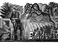 Opinion: What would Gilbert White make of our biodiversity loss?