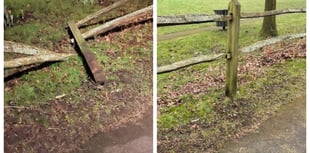 Haslemere council declares zero tolerance for vandalism at Town Meadow