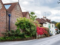 Haslemere Museum to celebrate Earth Day this weekend