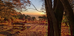 Stunning snaps of Black Down and Hindhead wow National Trust judges