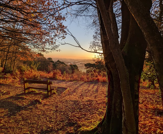 Stunning snaps of Black Down and Hindhead wow National Trust judges