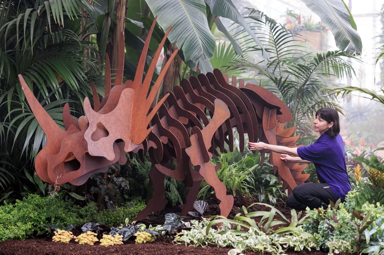 Leap back in time for RHS Garden Wisleyâs prehistoric Houseplant Takeover.
Hannah Blackmore admires the sculptures that make up part of the display this morning.

The iconic Glasshouse at RHS Garden Wisley in Surrey has been transported back millions of years for the new âHouseplant Takeover â Plants Before Timeâ exhibition, on from 3 February to 10 March 2024. 
For the first time, the Houseplant Takeover will encompass the temperate, arid and tropical sections of the cathedral-like Glasshouse creating an inviting and warm environment to escape to this winter. Once inside, visitors are invited to take a journey of discovery to find fascinating plants such as ferns, palms and cycads, nestled amongst intriguing fossils, a volcano made of bromeliads and tillandsia, and dinosaur sculptures, footprints and eggs. While exploring listen out for jungle-like noises and a distant roaring sound. There will be a trail booklet for younger visitors to follow with fun facts to find along the way as they leap back in time.