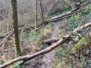 Funding doubts over future of "incredibly dangerous" path near Steep