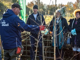 Petersfield is greener thanks to Town Council and community projects