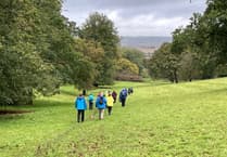 Alton Walking Festival: Gearing up for a feast of walking from April to June