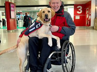 Walkies in the Midlands: Hounds for Heroes heading back to Crufts
