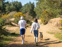 Heath Watch: Spring is a magical time to bask in our local heathland
