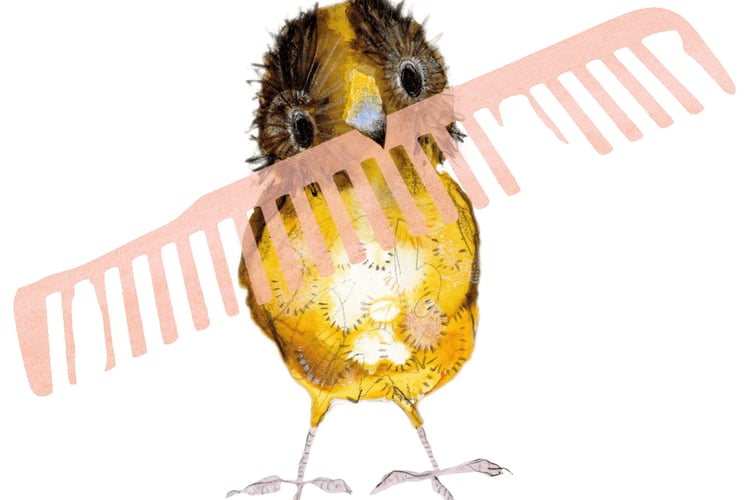 Gruffalo author Julia Donaldson got the idea for her Bowerbird story from a programme by David Attenborough about bowerbirds and discovered how they collected enticing objects – and sometimes stole from one another