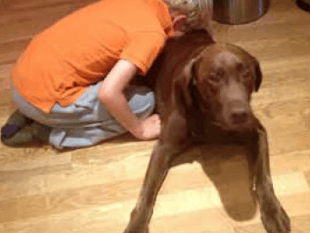 Dogs for Autism charity makes £100,000 survival plea