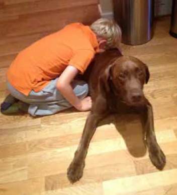 Dogs for Autism, based at Hartley Park Farm Business Centre, needs £100,000 by the end of the month