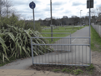 Alton's Secret Cyclist: Cycle paths key to getting more people cycling