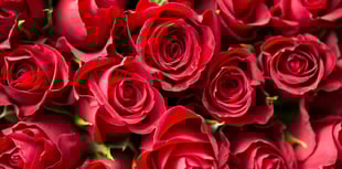 How do your roses grow? Get the answers at Petersfield club meeting