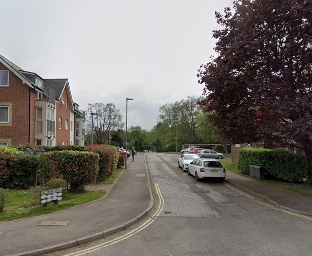 Spate of crimes involving weapons close to town centre