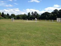 Liss Cricket Club bowled over as planners agree to cabin application