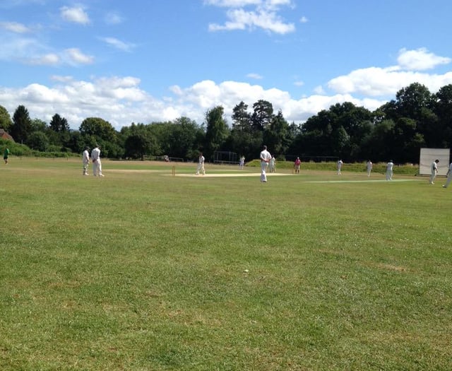 Liss Cricket Club bowled over as planners agree to cabin application