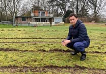 Outfield frustration as joyrider causes damage to Petersfield cricket pitch