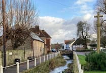 Do the white thing: Hampshire councillors unite in call to safeguard chalk streams