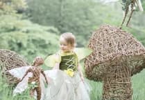 Be here dragons as fairy trail returns to grounds of popular estate