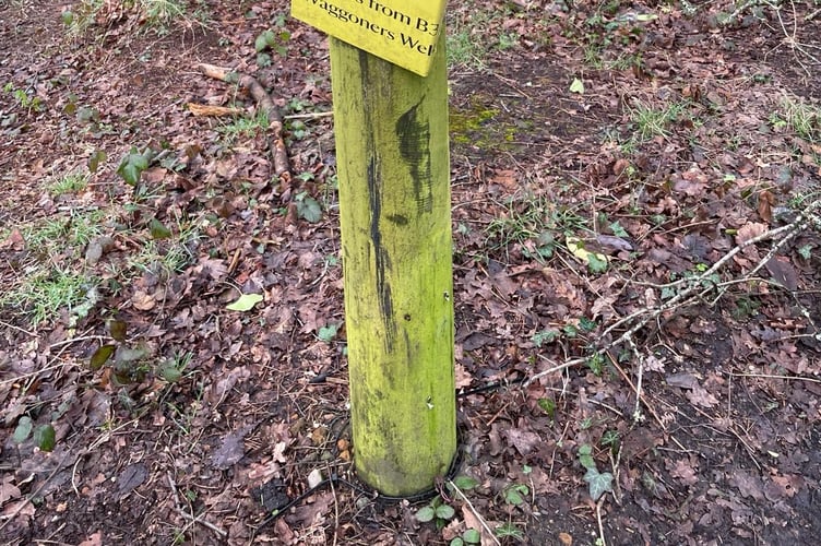 Neighbours and users of Bramshott Chase have complained tree and shrub clearance by the National Trust has exposed the local beauty spot to the constant rumbles, light and air pollution of the A3