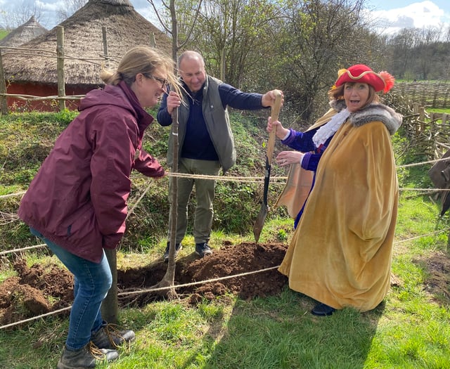 Unbelief-able response to tree planting event at Butser Ancient Farm