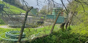 Discharges increase by 700 per cent in a year at Buriton waterworks