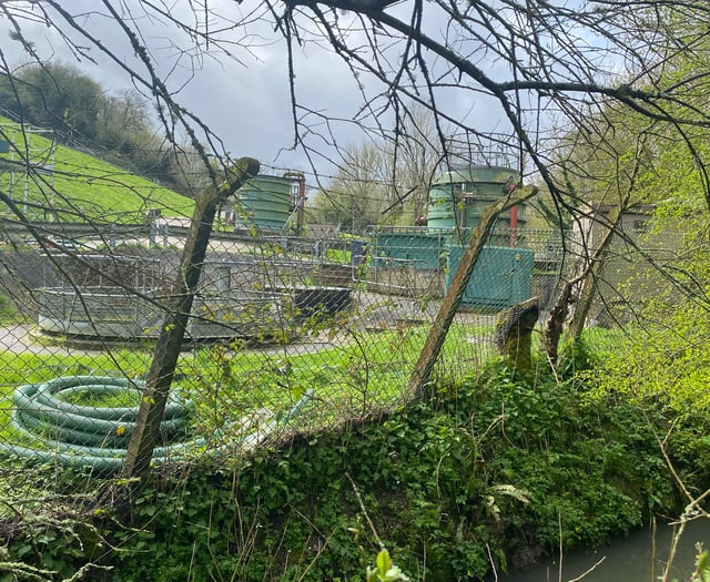 Discharges increase by 700 per cent in a year at Buriton waterworks