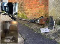 'Moronic' vandals cause 'heartbreaking' damage in town crime spree