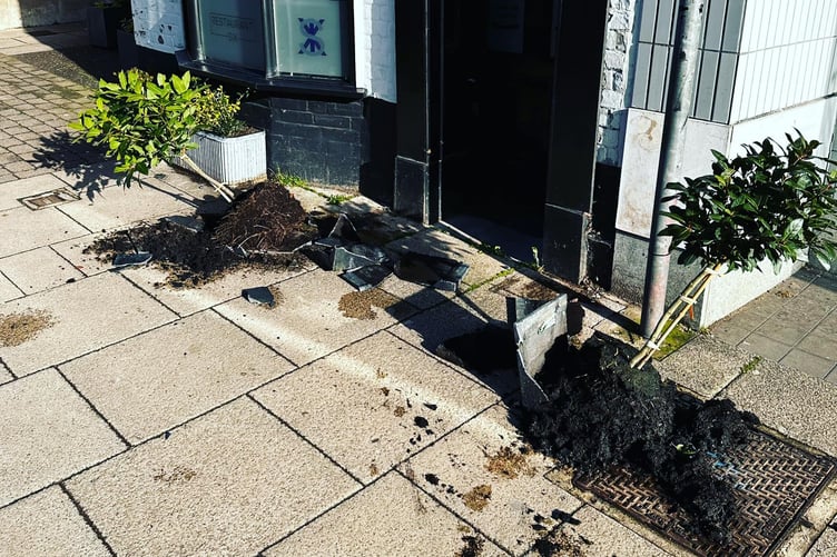 Some trees were pulled out of pots in the vandalism