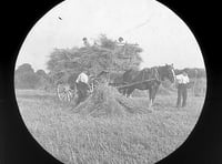 Talk about farming's role in the past, present and future of Buriton