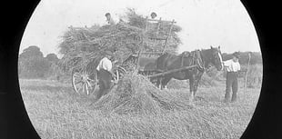 Talk about farming's role in the past, present and future of Buriton
