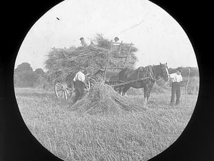 Talk about farming's role in the past, present and future of Buriton