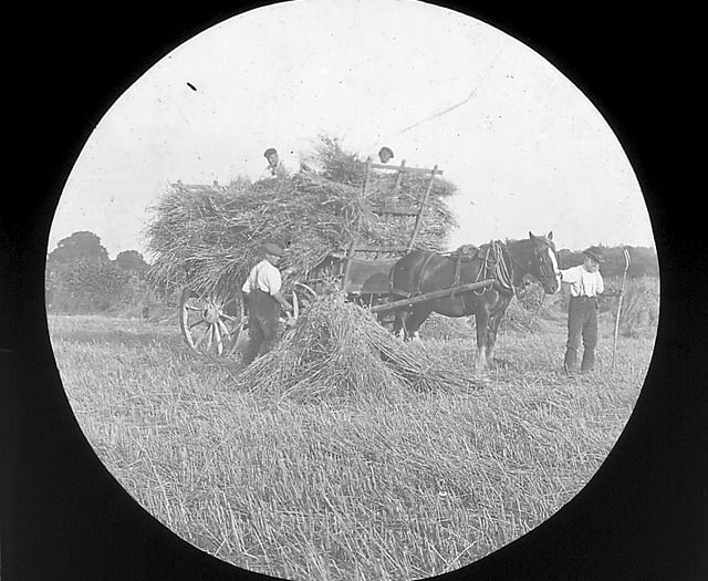 Talk about farming's role in the past, present and future of Buriton