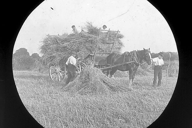 Buriton vintage farming