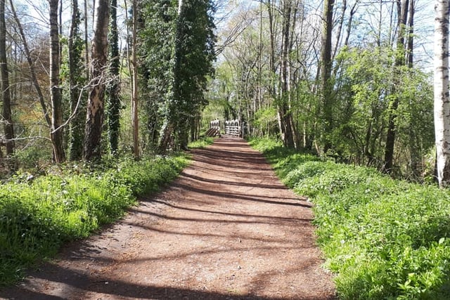 Nature calls: Learn more about East Hants river at Liss event
