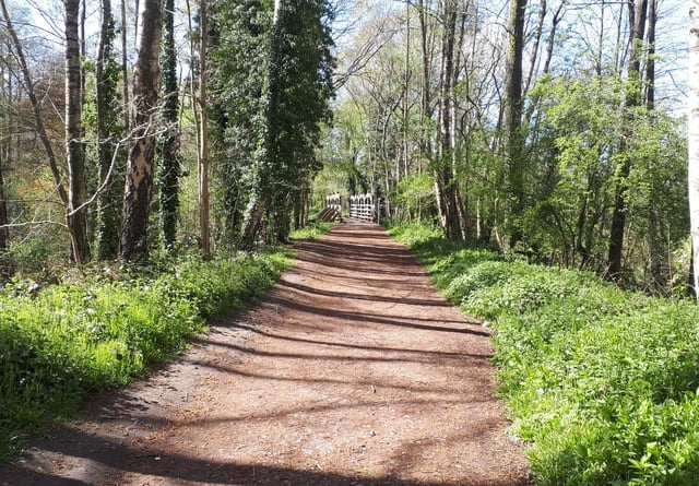 Riverside railway walk plans to be unveiled at open afternoon