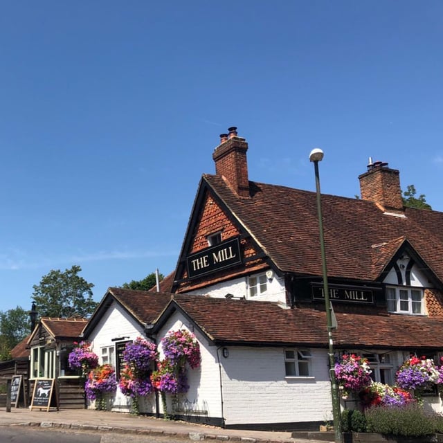 Haslemere’s The Mill serves up a reel treat