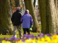 More than a mile of green footpaths within walking distance in Meon Valley